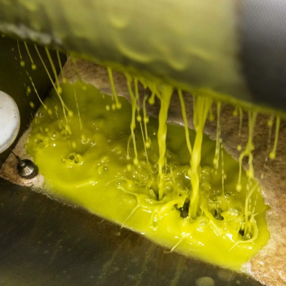 9ab52f4d cor harvesttour 110618 145 e1548358798842