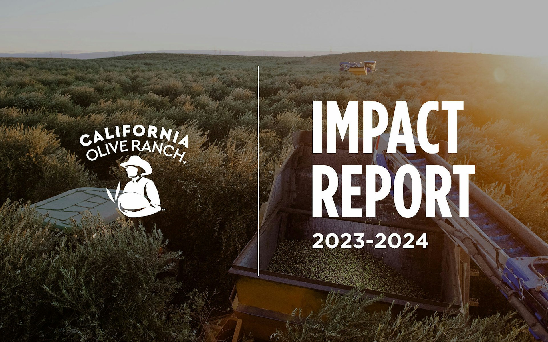 COR Impact Report 2024