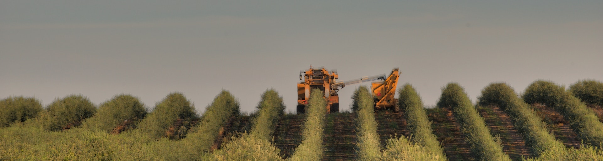 Careers Marquee Desktop 2x