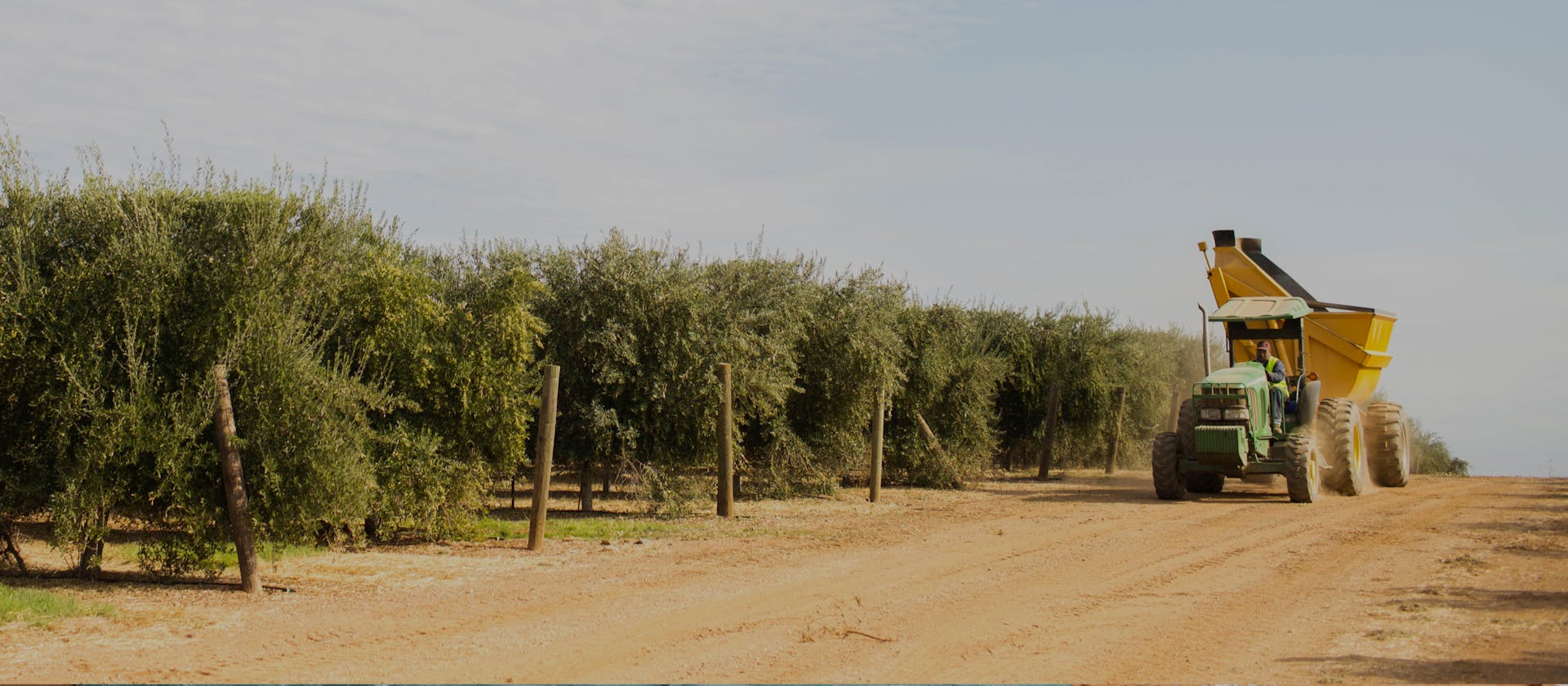 Hero Marquee 04 Harvest Desktop 2x